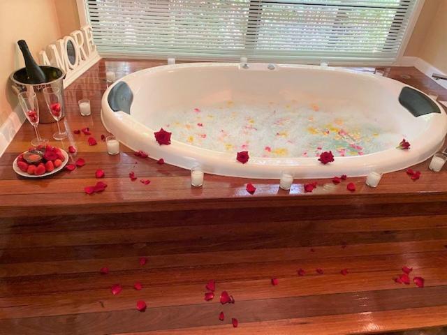 Amore On Buderim Rainforest Cabins Sunshine Coast Екстериор снимка